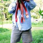 Tom Conway and the rhubarb (Courtesy Photo)