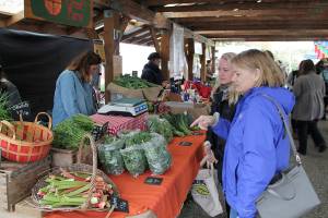 Farmers Market opens