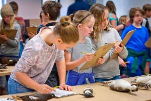 Young students learn about birds from island expert