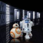 The force is strong with Vashons first candidates for unofficial mayor. (Courtesy Photo)