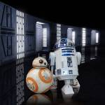 Droid duo emerge as joint candidates for Vashon unoffocial mayor