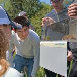 `Ed Talks’: Documenting nature in Puget Sound