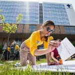 UFCW organizer Graciela Nune affixes cards addressed to various administrators on a board as nurses with UFCW 21 and their supporters picket at Providence Regional Medical Center Everett on Wednesday. The boards, with notes pleading for a contract settlement, are to be presented to the administrators tomorrow. (Andy Bronson / The Herald)