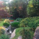 It’s time to stop and smell the roses at Vashon’s annual garden tour