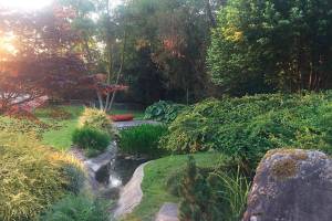 It’s time to stop and smell the roses at Vashon’s annual garden tour