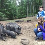 Chautauqua third graders tackle food waste and recycling issues