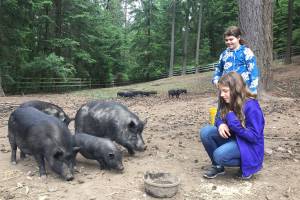 Chautauqua third graders tackle food waste and recycling issues