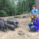 Sophia Cagle (kneeling) and Josefina Romero (standing) with a few of Eileen Burkes pigs that their class/school now provides food scraps for. (Courtesy photo)