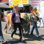 The Strawberry Festival grand parade is always eclectic and this year included Jingle, walking with her companions, Lizzy Corliss, right, and Kelsey Killian of Venison Valley Farm Creamery. (Susan Riemer/Staff Photo)