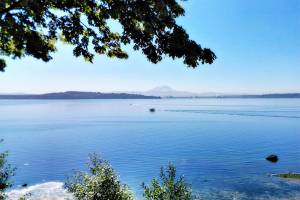 Going wild: some island natural areas in transition