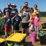 Island scouts celebrate 70 years, changes