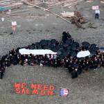 Human “orca mural” planned for Saturday