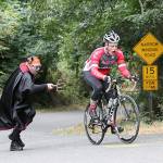 The Devil (Jim Marsh) prods  or inspires  a cyclist up challenging Burma Road in a previous P2P (David Weller Photos).