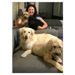 New dog daycare and boarding business opens near south end