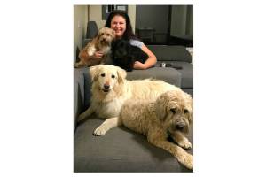 New dog daycare and boarding business opens near south end