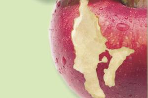 MEETING TONIGHT: Working toward sustainable island health care