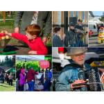 Ciderfest draws a crowd