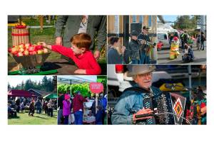 Ciderfest draws a crowd