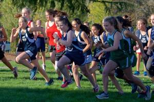 Mustangs hit winning stride in cross country