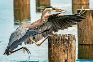 First Friday brings wealth of art and music