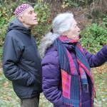 Recent land purchases nearly double Frog Holler Forest