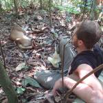 Its up to the cat: the pumas decide where they go on their trails, for how long, and what they do on their walks. In this photo, Cody Turner waits with his assigned puma while it rests in the jungle at Parque Jacj Cuisi, Bolivia. (Courtesy Photo)