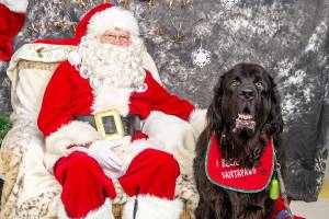Scene & Heard: Santa Paws