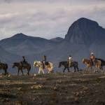 The short film Wildlife and the Wall explores untouched landscapes from El Paso, Texas, to the Gulf of Mexico to examine the impact that border wall construction would have on the wildlife community (Courtesy Photo).