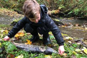 Islanders watch for salmon, ways to help orcas