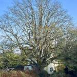 This year will include plenty of trails to follow