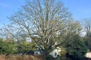 This year will include plenty of trails to follow