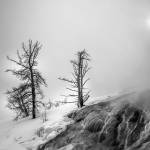 Nature photograph by Susan White