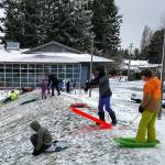 Vashon snow days