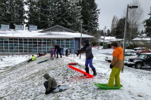 Vashon snow days