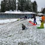 Vashon snow day at the library. (Susan Riemer/Staff Photo)