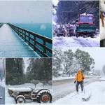 Scenes from the snow. Photo credits, clockwise from top left: Jake Conroy, Puget Sound Energy, Dani Bingham, Kent Phelan, Sarah Kassik and Paul Rowley.