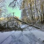 A fallen tree near Froggsong Gardens in Burton blocks the road after the snowstorm earlier this month. Obstacles such as fallen trees and abandoned cars make the job of clearing roads difficult for road crews to clear snow in King County, and the budget for snow removal is limited. (Paul Rowley/Staff Photo)