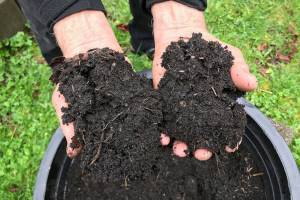 Will soil save us? Carbon sequestration through agriculture