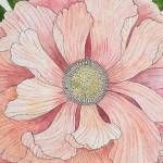 Spring into a gallery cruise on Friday