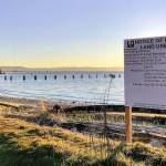 County considers island shellfish operation proposal