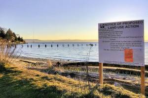 County considers island shellfish operation proposal