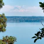 County, land trust debut new trail at marine park