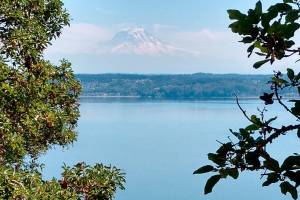 County, land trust debut new trail at marine park