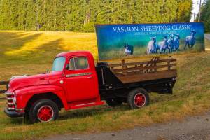 Vashon Sheepdog Classic returns June 6