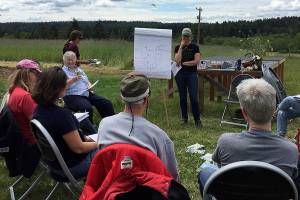 Vashon farmers cultivate seeds, stories