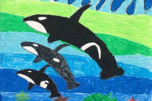 Third-graders sound the alarm to save salmon and orcas