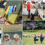 (Photos by John de Groen).