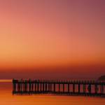 A rare solo show of photographer Ray Pfortners work at the Hardware Store Restaurant Gallery will include this shot of Vashons Tramp Harbor.