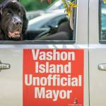 Unofficial mayoral candidates kick off campaigns