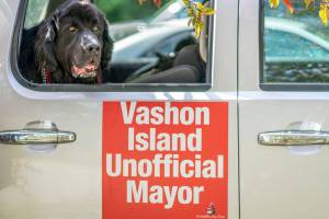 Unofficial mayoral candidates kick off campaigns